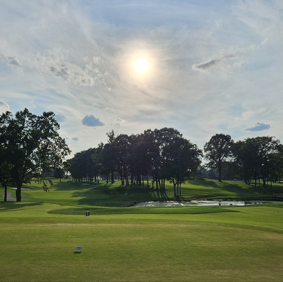 Meet your Posher, Tam - Picture 1 of 2